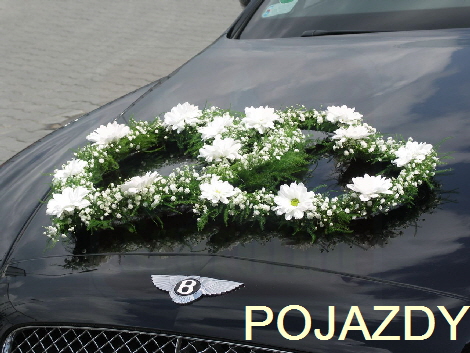 POJAZDY