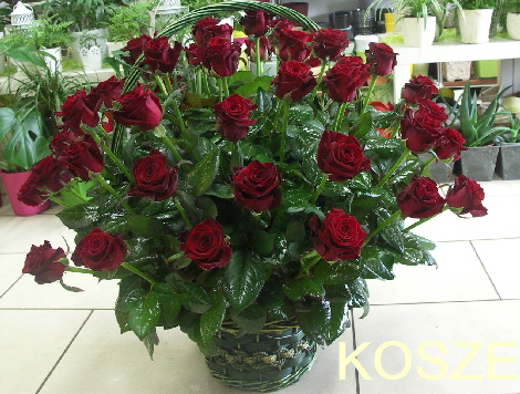 KOSZE